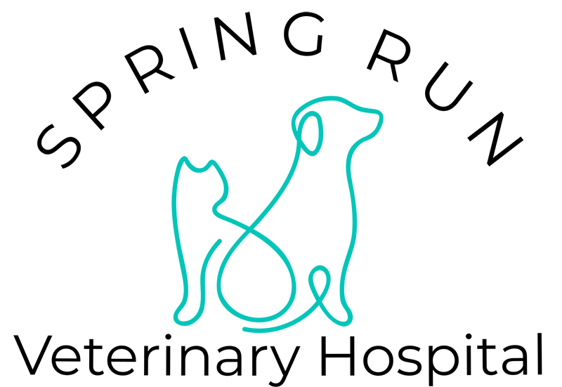 Spring Run Veterinary Hospital